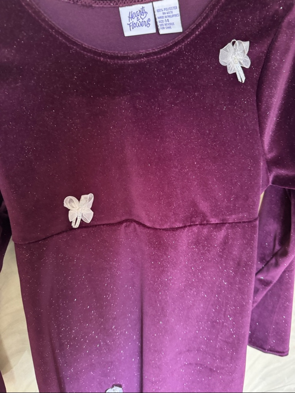 Hearts & Flowers Sparkle Velvet Dress in Deep Plum